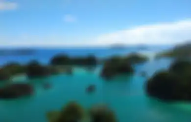 Jawaban Isi Cerita Bacaan Laut Kita Penuh Harta Karun Kelas 5 Tema 6