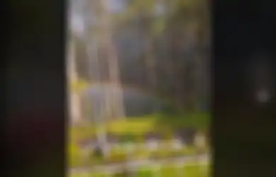 Video Orang Nyoba Megang Pelangi Ini Viral di TikTok, Gimana Sih Penjelasan Ilmiahnya?