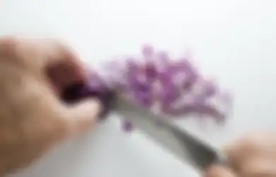 Coba Haluskan Bawang Merah dengan Blender, Hewan Menyebalkan Ini Tak Mau Lagi Masuk Rumah! 