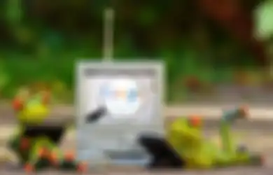 Cara Memulihkan Akun Google yang Dibajak, 100 Persen Berhasil!