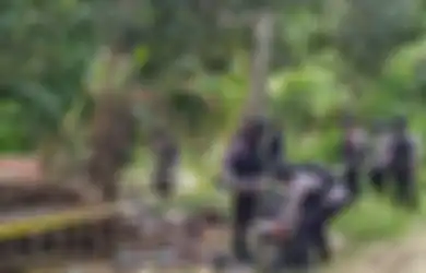 Foto Rumah di Pandeglang Hancur Gegara Bom Bikin Syok, Ternyata Pemiliknya Punya Profesi Ini, Polisi Ungkap Fakta Mengejutkan