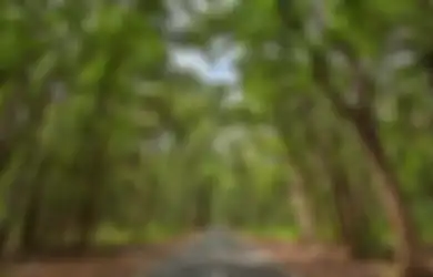 Ini Dia Khodam Terkuat yang Menguasai Alas Purwo Banyuwangi, Disegani di Dunia Gaib!