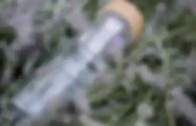 Cara Bersihkan Bagian Dalam Botol Minum Bahan Kaca Agar Tak Berbau, Sediakan Garam dan Cuka!