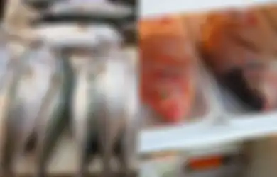 Para Istri Tak Perlu Khawatir Saat Menyimpan Ikan di Kulkas, Tuangkan Cairan Ini Membuatnya Awet Berminggu-minggu
