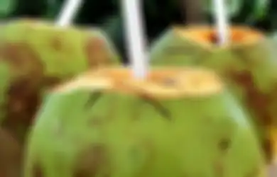 Kandungan Kalorinya Rendah, Air Kelapa Bisa Meredakan Penyakit Asam Lambung, Begini Aturan Minumnya