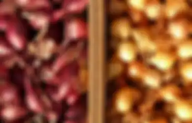 Ternyata Bawang Putih dan Bawang Merah Dapat Dimanfaatkan Sebagai Pupuk Alami Tanaman, Tunggu 2 Minggu Ini yang Akan Terjadi!