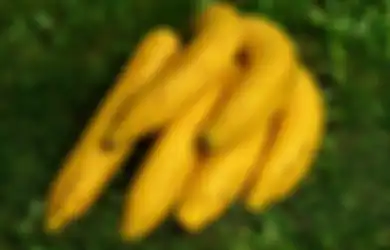 Miliki Kandungan Zat Protase Inhibitor, Buah Pisang Nyatanya Bisa Redakan Penyakit Asam Lambung, Begini Cara Olahnya