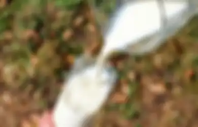 Meski Terkenal Baik Buat Kesehatan, Konsumsi Susu Justru Berbahaya Bagi Penderita Penyakit Asam Lambung, Ini Penjelasannya