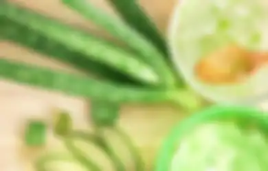 Resep Ampuh dr Zaidul Akbar, Terbukti Lidah Buaya Mampu Mengobati Sakit Maag yang Menyiksa, Cukup Dicampur Bahan Dapur Ini Penyakit Lambung Dijamin Sembuh