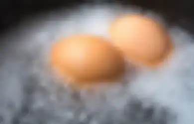 Maag Pasti Minggat Hanya dengan Makan Telur, Begini Cara yang Benar untuk Mengolahnya, Dijamin Mudah dan Murah