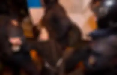 Bantu Galang Dana untuk Ukraina, Personel Pussy Riot Jual NFT Bendera Ukraina Seharga Rp38 Miliar