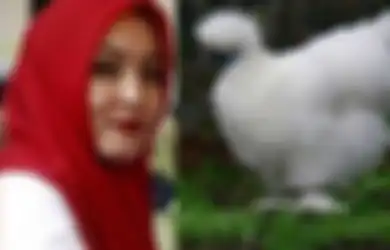 Ayam Angelina Sondakh Disebut Sang Empunya Nangis Saat Ibunda Keanu Akan Keluar dari Penjara, Jenis Hewan Peliharaan Janda Adjie Massaid Ini Ternyata Tak Sembarangan, Harganya Bikin Geleng Kepala