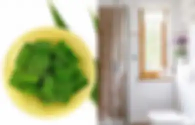 Cara Membuat Pengharum Kamar Mandi dengan Daun Pandan, Tetangga Sampai Kaget Lihat Perubahannya!