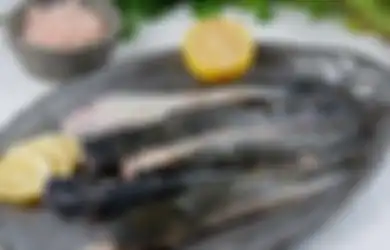 Pantas Warung Makan Tak Bagikan Resepnya, Ternyata 3 Bahan Rahasia ini Ampuh Usir Lendir pada Ikan Lele, Langsung Dicoba?