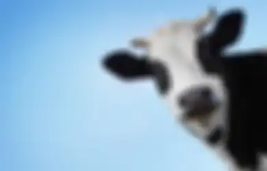 Ekstrak Kolostrum Ternyata Dibutuhkan untuk Kulit Sensitif...