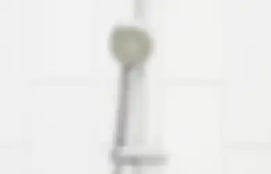 Ternyata Penggunaan Shower dan Dual Flush di WC Bikin Kita Lebih Hemat Air, Ini Alasannya!