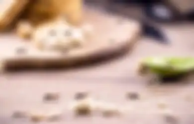 Ternyata Lada Bisa Buat Semut Hilang Permanen, Begini Tips Usir Semut dengan 3 Bahan Dapur di Rumah
