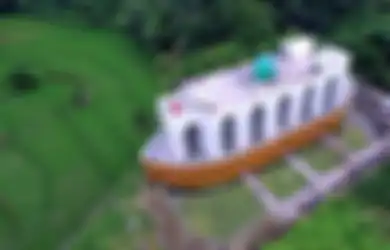 Bentuknya Serupai Bahtera Nabi Nuh Tapi Dikelilingi Sawah, Ini Sejarah Masjid As Safinatun Najah Semarang yang Berarti Kapal Penyelamat
