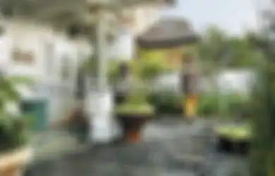 Pengin Taman Koral Eksotik dan Minim Perawatan, Mudah Bikinnya!