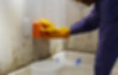 5 Cara Mengatasi Jamur di Rumah dan Mencegahnya Muncul Lagi