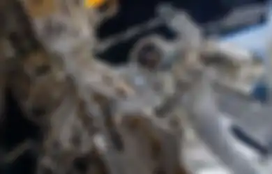 Bumi Disebut dalam Kondisi Terancam Gara-gara Kelakuan NASA, Ilmuwan Oxford Ungkap Manusia Bisa Perang dengan Alien Hanya Gara-gara Kirim Hal Ini ke Luar Angkasa