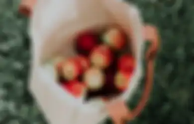 Kaya Akan Vitamin dan Antioksidan, Buah Apel Bisa Jadi Obat Asam Lambung, Ini Takaran per Harinya