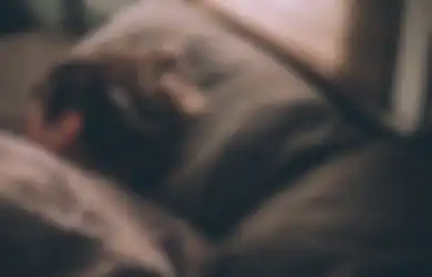 Bertahun-tahun Baru Tahu, Meletakkan Benda Ini di Kamar Bisa Bikin Tidur Pulas, Cermin Salah Satunya!