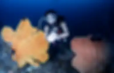 Keranjingan Foto Diving, Gisel Bak Lupakan Pahitnya Ditolak Balikan dengan Gading Marten
