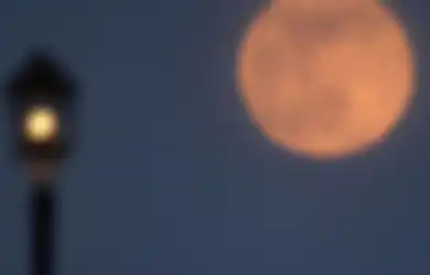 Jangan Lewatkan, Ini Jadwal Munculnya Fenomena Pink Moon Besok!