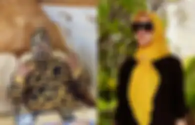 Dulu Heboh Diblokir Syahrini, Mantan Kuli dan Pemulung Ini Makin Mentereng Hidup Enak di Apartemen Senilah Rp 20 Miliar, Kesuksesannya Berawal dari Memijat Seorang Konglomerat