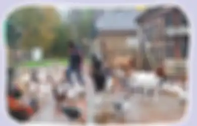 Jawaban Bagaimana Tanggung Jawab Kita Terhadap Masyarakat Kelas 5 SD Tema 2