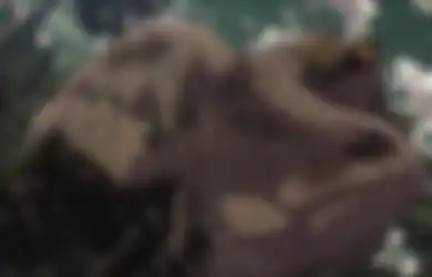 Petarung ini Menilai Adegan Attack On Titan dari Sisi Mixed Martial Arts: Semuanya Sempurna!