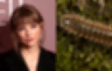 Ada Nama Spesies Baru yang Terinspirasi Dari Nama Taylor Swift!