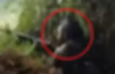 Kekuatan Asli KKB Papua Terungkap, Sniper Kelompok Separatis Lari Pontang-panting usai Lepaskan Tembakan, Tak Kuasa Hadapi Aparat TNI-Polri