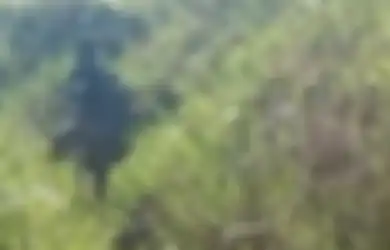 Nekat Menyusup ke Pos Keamanan TNI-Polri, 2 Orang Kaki Tangan KKB Papua Pimpinan Egianus Kogoya Diringkus Tepat di Depan Pintu, Sempat Ada Tembakan Membabi Buta