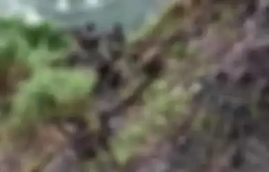 Tebar Ketakutan hingga ke Negara Tetangga, KKB Papua Bikin Cemas Warga Papua Nugini, Ngaku Datang Jenguk Keluarga Pulang Bawa Senjata, Aksinya Langsung Dicurigai Gara-gara Hal Ini