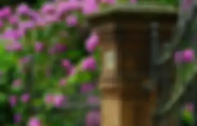 Tak Disangka! Ternyata Ini Nomor Rumah Pembawa Hoki Menurut Fengshui, Angka 4 yang Dianggap Sial Justru Punya Arti Mengejutkan