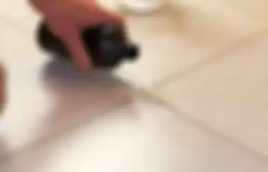 Tak Susah Mencegah Paparan Racun dari Pembersih Rumah, 5 Hal Ini Kuncinya!
