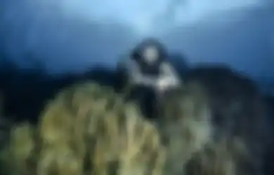 'Mau Kembali Kesini Lagi' Gisel Ketagihan Diving di Spot Unik Ini, Pamer Foto Sampai Muncul Fantasi Liar