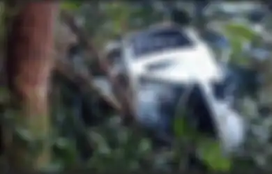 Nahas Jatuh di Hutan Papua, Helikopter Bell Ternyata Bawa Misi Mulia, Angkut Pasien dari Pedalaman, 1 Penumpang Balita yang Hilang Kini Ditemukan Tewas