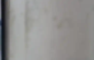 Tak Kelihatan Kotor, Ternyata 3 Area di Rumah Ini Gampang Tumbuh Jamur, Cek Lagi Jangan Sampai Kecolongan!