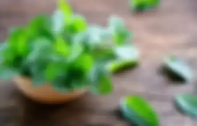 Tak Banyak yang Tahu, Daun Mint Ternyata Efektif Meredakan Asam Lambung Lho! Berikut Segudang Manfaatnya Bagi Kesehatan
