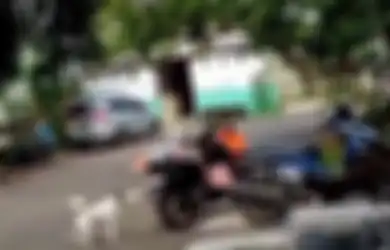 Awalnya Berjalan Lancar, Kurir Paket Ini Justru Alami Hal Tak Terduga Sampai Lokasi Tujuan, 2 Peliharaan Pelanggan Bikinnya Copot Sandal