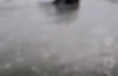 Turis Rental Muter-muter Bawa Mobil Ini Masuk ke Bibir Pantai, Endingnya Malah Tak Terduga, Netizen: Waduh Tidak Tercover Asuransi