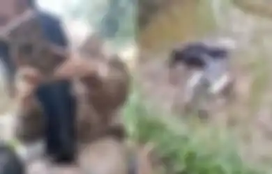 Niat Awal Pengen Jalan-jalan Sama Kekasih, Hal Tak Terduga Malah Terjadi Pada Pasangan Ini, Netizen: Kameramen Tidak Selamat