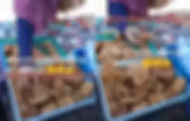 Tangan Kosong Pilih-pilih Gorengan, Aksi Emak-emak Ini Banjir Komentar, Netizen: Biar Apa Kaya Gitu?