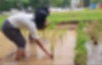 Jawaban Sebelum Menanam Tumbuhan Tertentu, Apa Saja yang Perlu Diperhatikan agar Tanaman Dapat Tumbuh dengan Baik