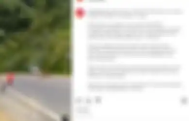 Rem Blong Diduga Penyebabnya, Mobil Terperosok ke Jurang Sedalam 20 Meter Renggut 3 Nyawa Penumpang, Netizen: Ya Allah, Sampai Merinding