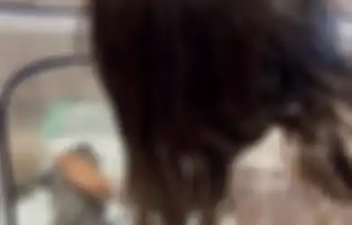 Respons Produser Film Kondang Jadi Sorotan, Gisel Rilis Nama Anak-anak Kucing Gempi, Foto Anabul Banjir Komentar