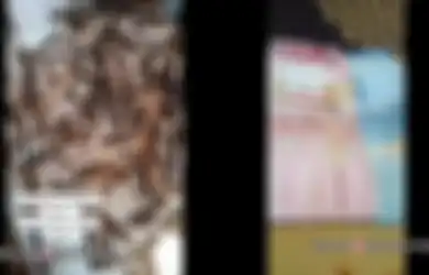 Bak Cari Harta Karun, Viral Pasutri Ambil Tumpukan Uang Koin Hasil Tabungannya dari Sumur Pakai Ember, Berjumlah Fantastis Saat Ditukar ke Bank